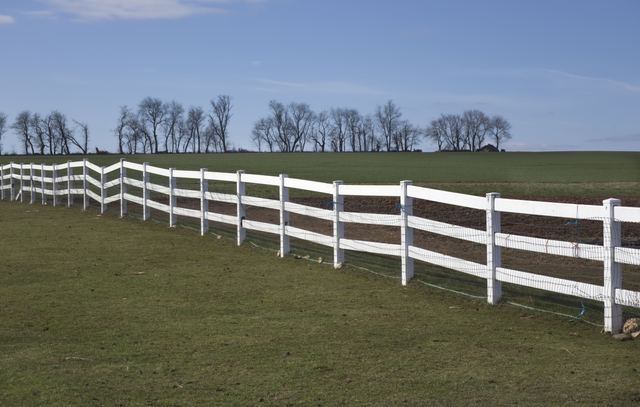 Post-and-rail pasture fencing