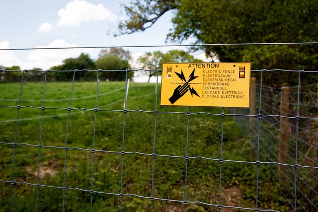Page-wire fence with an electric line